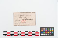 Etiketten zu Bronzebrillenfibel (NHMW-PRAE-024816)
